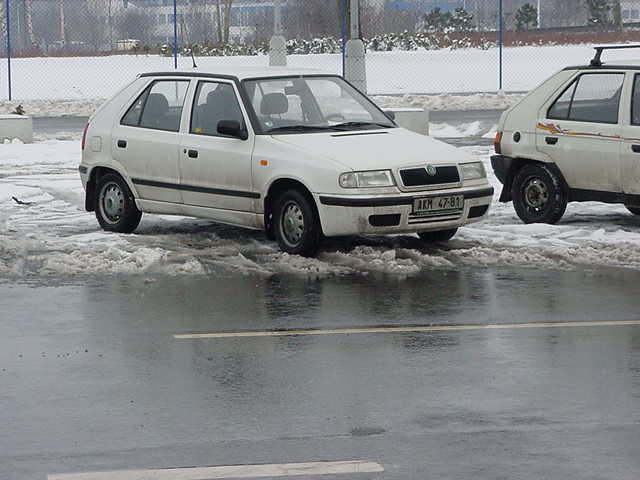 bobik.jpg